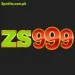 ZS99 Game