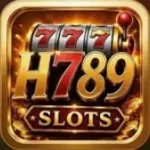 H789 Game