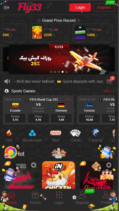 Fly33 Game